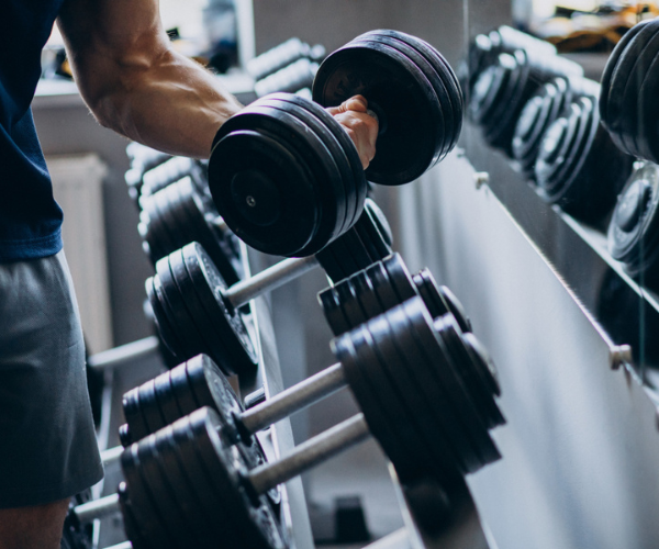 Best Gyms in Panchkula | Most Visited Gyms Near Me